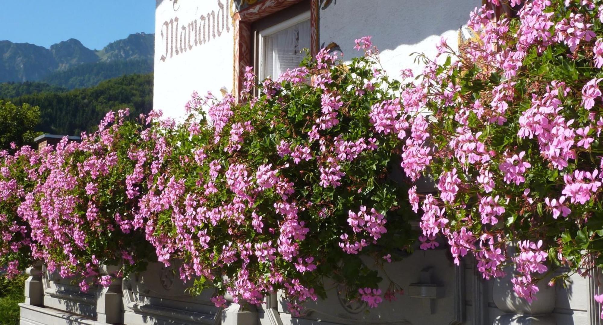 Hotel Mariandl Bergen  Bagian luar foto
